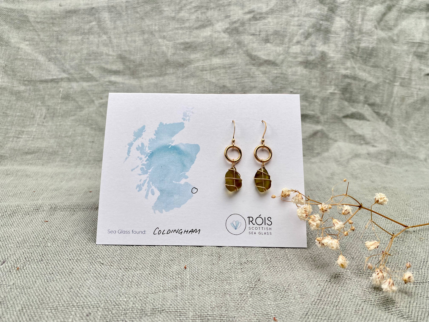 COLDINGHAM ~ Hazel green & gold filled drop hoops