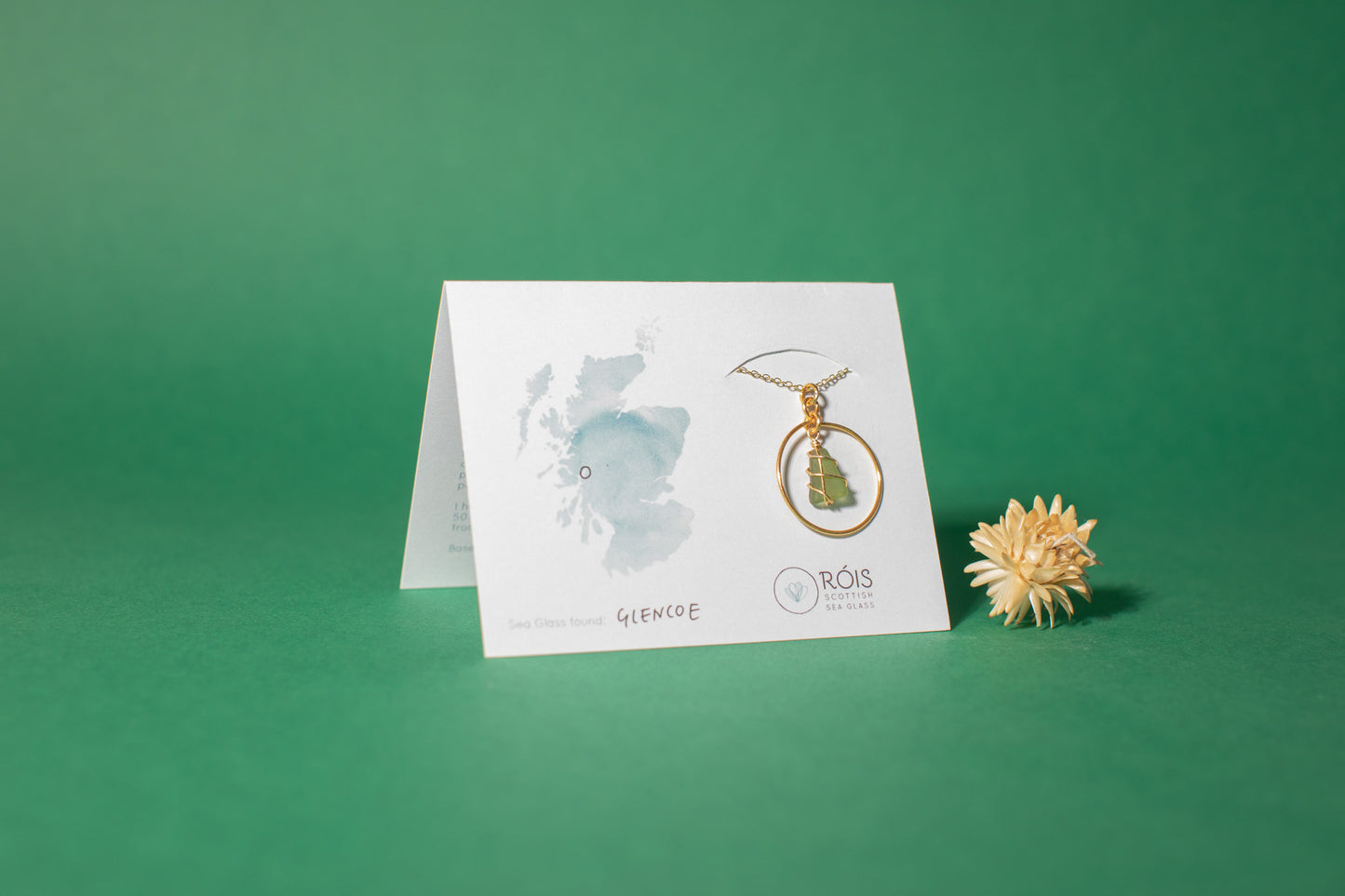 Jennie Hoop Necklace in Gold & Dark Green