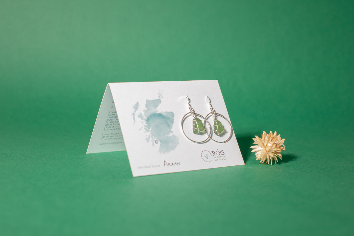 Jennie Hoops in Silver & Dark Green