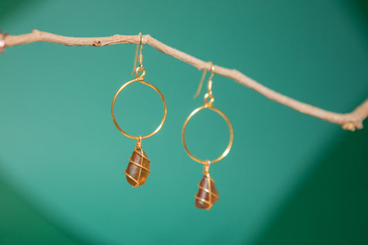 Lillie Hoops in Gold & Amber